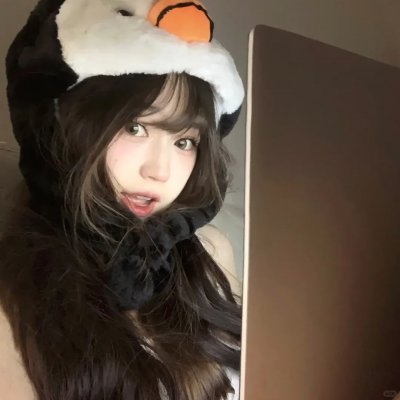 菜鸟总动员